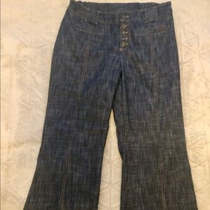 Soft surroundings pants large